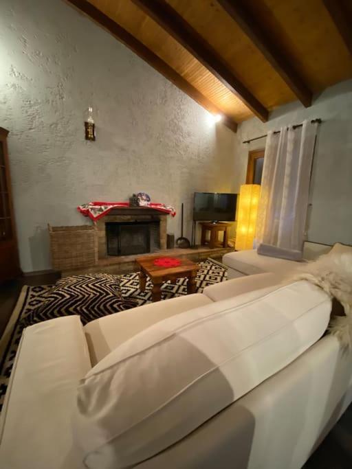 Orino Livadi Mount Villa IV Arachova Exterior photo